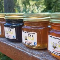 5 is Nice- Choose 5 in-stock 12oz Honey Blackberry, Red Clover, Wildflower, & Carrot
